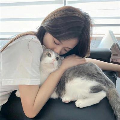 南宋传奇之蟋蟀宰相